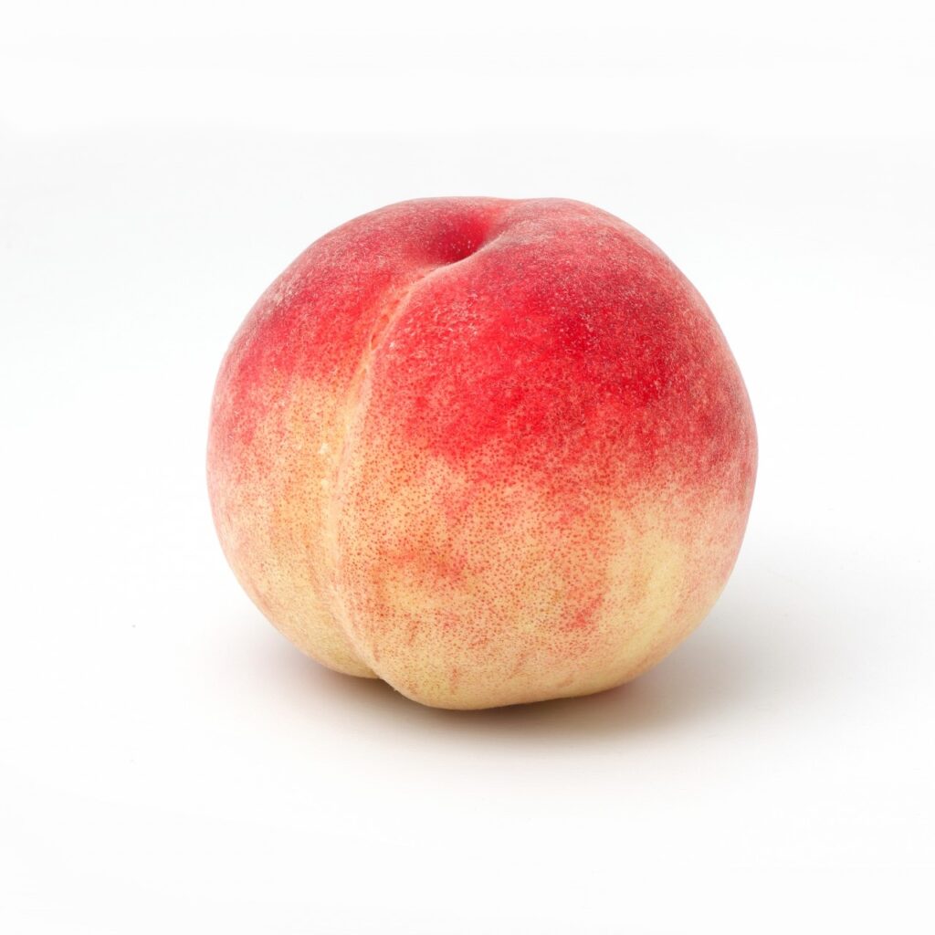 モモピューレ|もも 桃|Fruits Puree |業務用|果物ピューレ フルーツピューレ 野菜ピューレ 業務用ピューレ|果実|加工品 ...
